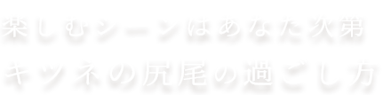 楽しむシーンはあなた次第キツネの尻尾の過ごし方