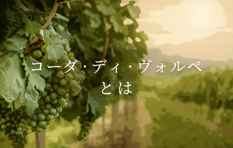 コーダ・ディ・ヴォルペとは